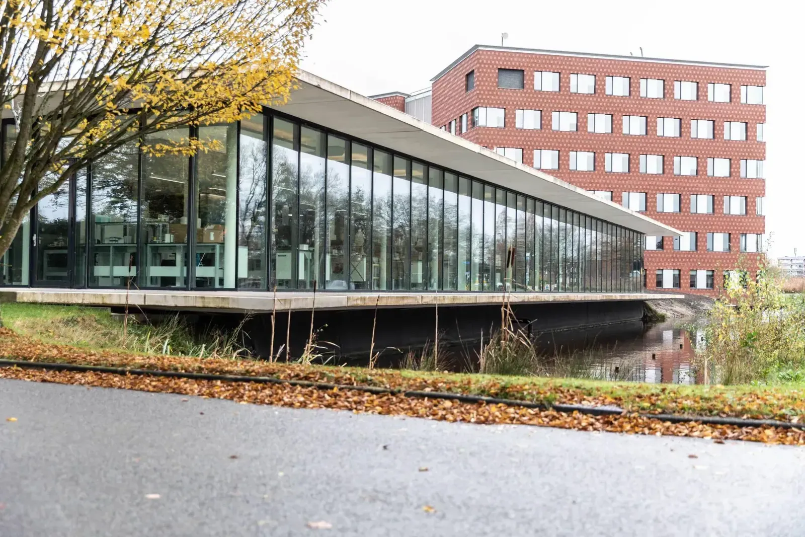 Laboratorium, Veendam